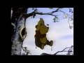 Little Black Raincloud Winnie The Pooh