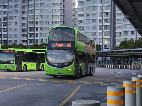 GAS Bus Service 85 [SG5076L]: Punggol Temp Int → Blk 119D