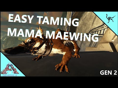 How to tame a Maewing and How to fly a Maewing - Ark Survival Evolved