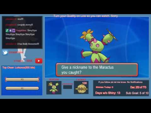 Shiny Maractus!!! 1020 Dexnavs!!! SLD!!!