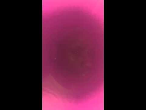 The Music Cartel very own P.O.P aka Paper.Ova.Pussy Exclusive Free Style