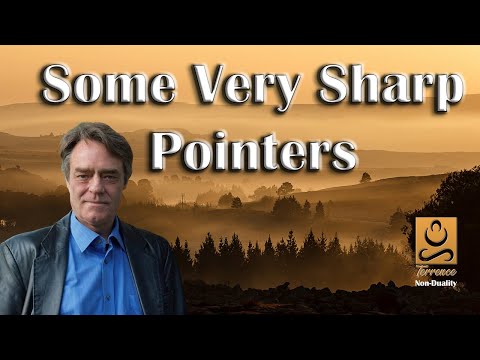 Some Very Sharp Pointers - Non duality with Terrence