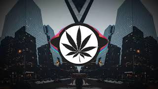 Cover art for Bonfire x Don't Forget To Feed Your Neopets