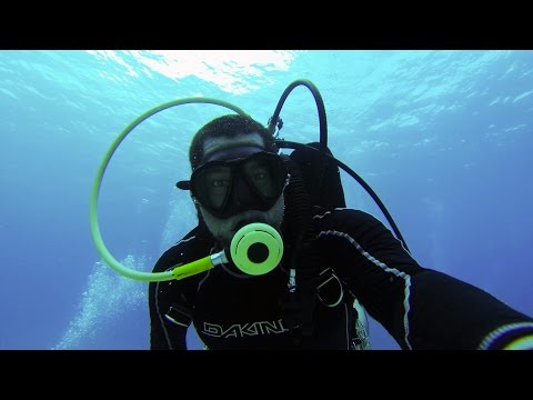 Day at Work Ichthyologist Fish Biologist