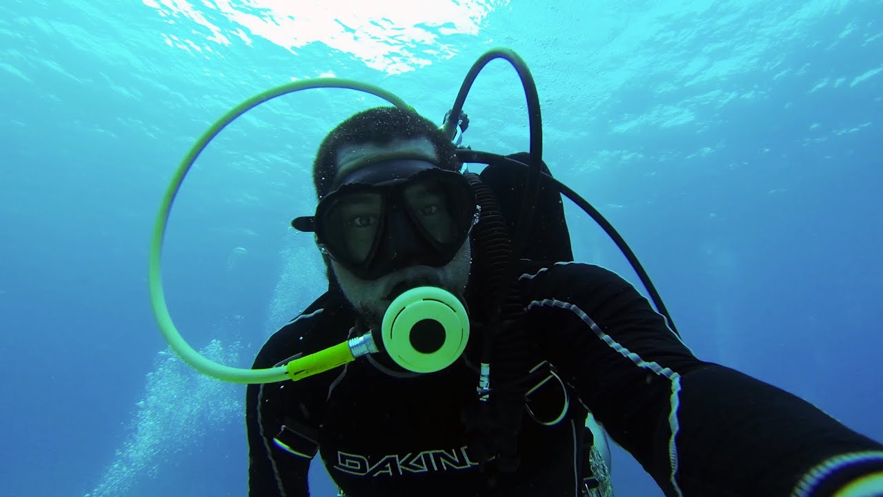 Day at Work: Ichthyologist (Fish Biologist)