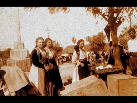 Ксенија Цицварић - Огријала мјесечина