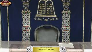 בית המדרש "תורת דוד" ¤ הילולת האר"י ז"ל ¤ ה' אב תשפ"ה (30.7.2025) (מוסדות תורת דוד) - התמונה מוצגת ישירות מתוך אתר האינטרנט יוטיוב. זכויות היוצרים בתמונה שייכות ליוצרה. קישור קרדיט למקור התוכן נמצא בתוך דף הסרטון