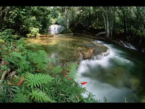 Petrisor Bodea ~ Omule!