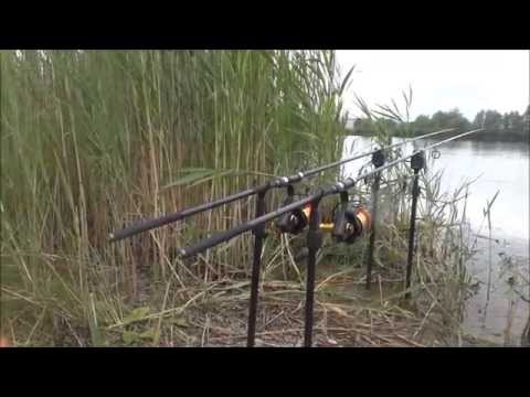 Karpfenangeln 2014 ( Verkrautete Kiesgruben nach der Laichzeit)