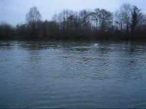 MHZ Gecko vs Hopf Orca