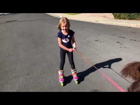 Newfoundland Samson pulls Sierra on roller blades