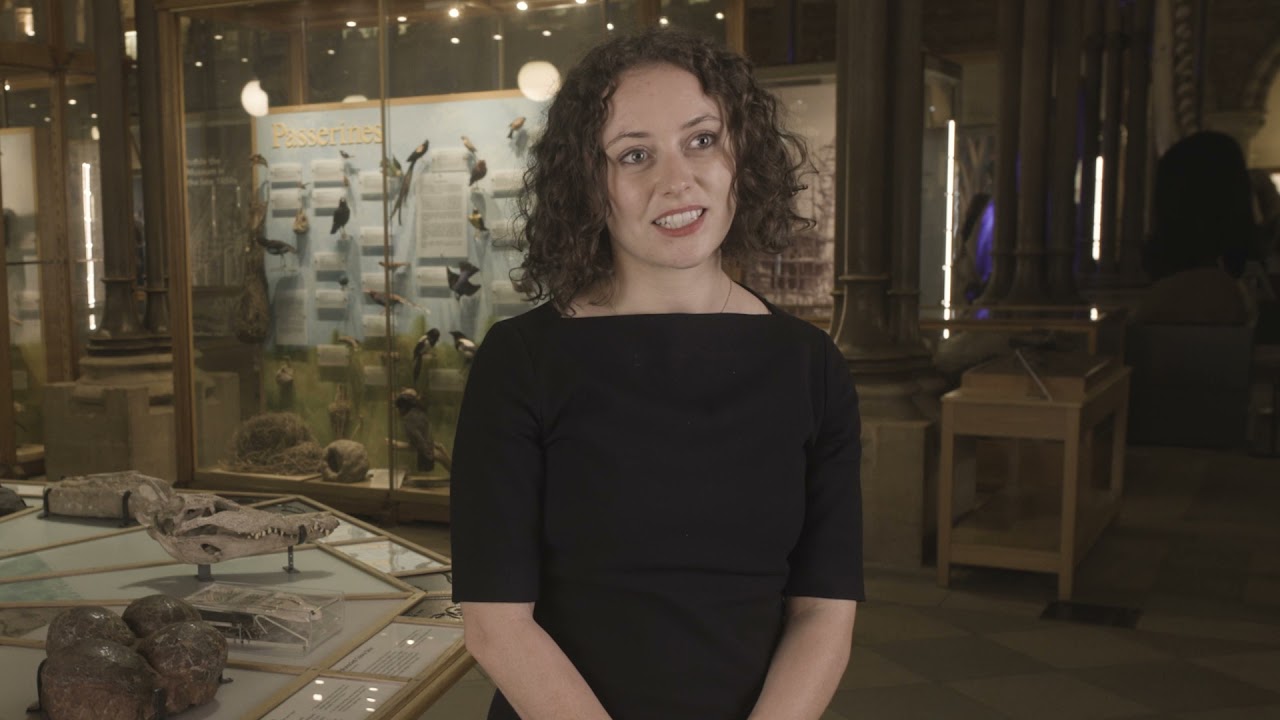 The Fairwork Foundation: Improving working conditions for workers in the gig economy