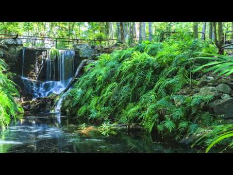 Kryon 2017 March - Escape From Self!