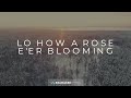 Lo, How A Rose E’er Blooming | Christmas Lyric Video | Reawaken Hymns