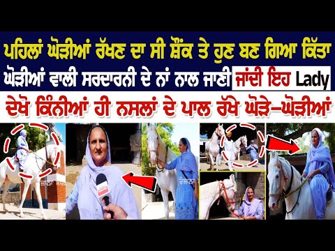 ਪਹਿਲਾਂ ਘੋੜੀਆਂ ਰੱਖਣ ਦਾ ਸੀ ਸ਼ੌਂਕ ਤੇ ਹੁਣ ਬਣ ਗਿਆ ਕਿੱਤਾ, ਘੋੜੀਆਂ ਵਾਲੀ ਸਰਦਾਰਨੀ ਦੇ ਨਾਂ ਨਾਲ ਜਾਣੀ ਜਾਂਦੀ ਇਹ ਔਰਤ