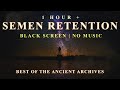 1 Hour of Semen Retention | Black Screen | Brown Noise | Ancient Archives