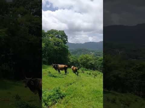 beautiful views in Nicaragua #nicaragua #boaco #santalucia #paz #tranquilidad #viajes #senderismo