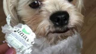 Bad Lilly didn’t eat the Una lip gloss...