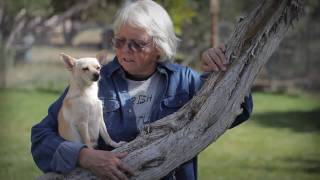 preview picture of video 'Annie's Orphans - A no-kill shelter for dogs in Durango, Colorado'