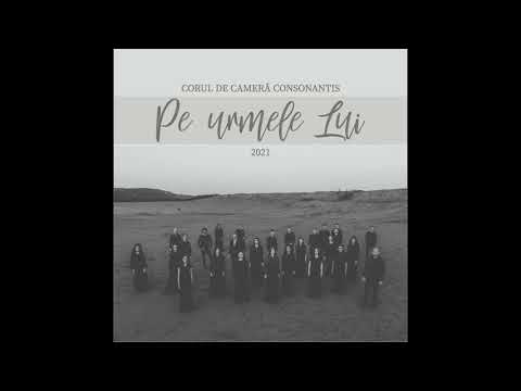 Corul de camera Consonantis - De esti descurajat