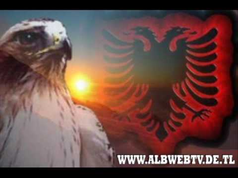 Gofile Papleka - Mehmet Shpendi