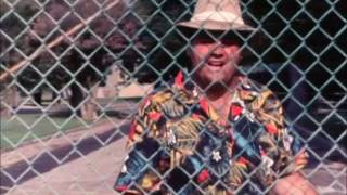 Bird in a Cage, 1987