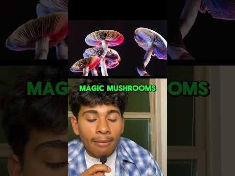Dont do fake shrooms #trehouse #magicmushrooms