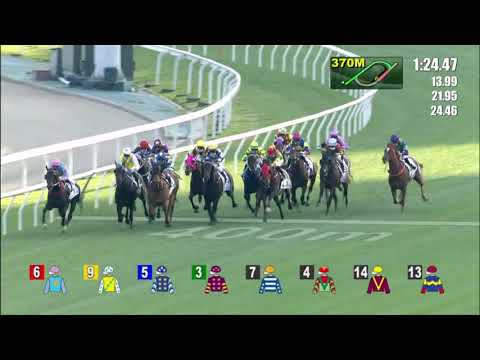 21/2/2021 (449) Healthy Happy - A Badel (The Hong Kong Classic Cup)