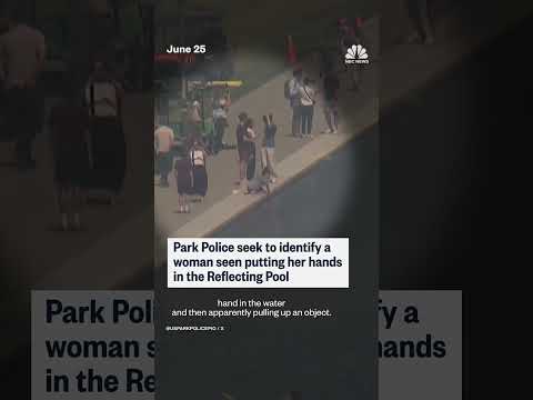 Police seeking woman who reached into Reflecting Pool
