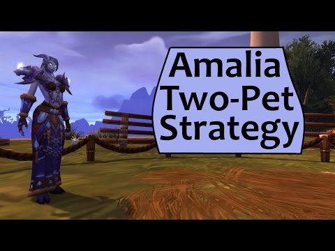 Amalia - 2 Pet Strategy for Fight Night: Amalia
