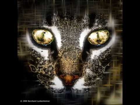 Born Under A Bad Sign___Nitro Mean Streak Blues.wmv