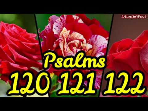 Psalms 120, 121 & 122 King James Version KJV KJB Audiobook with Captions Read Along ESL