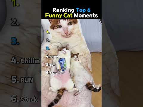 DONT CHECK THE SOUND😭😭