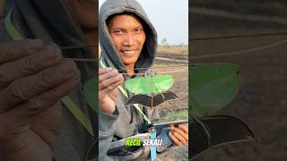 Download lagu Layangan Terkecil di Festival Layangan #layangan mp3