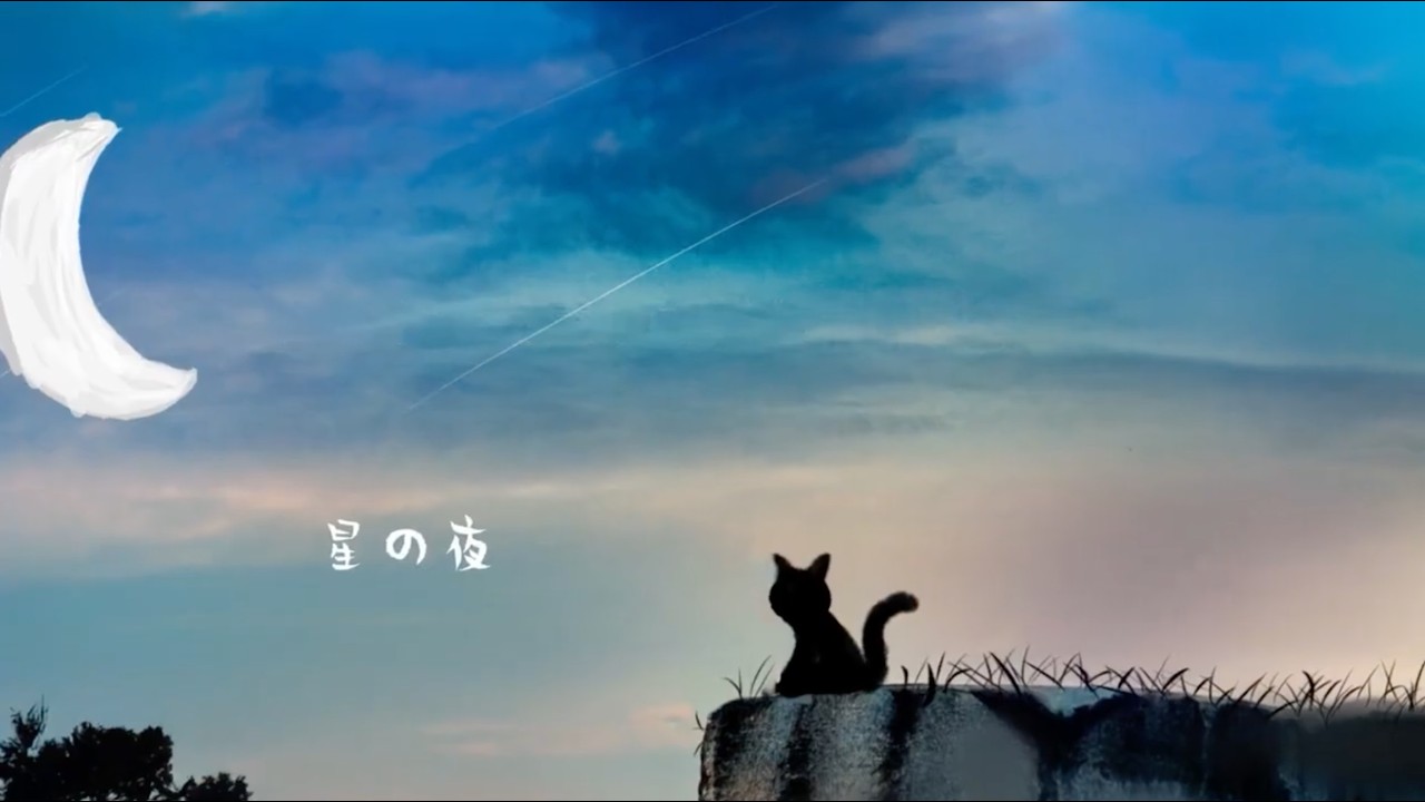 星の夜 MV