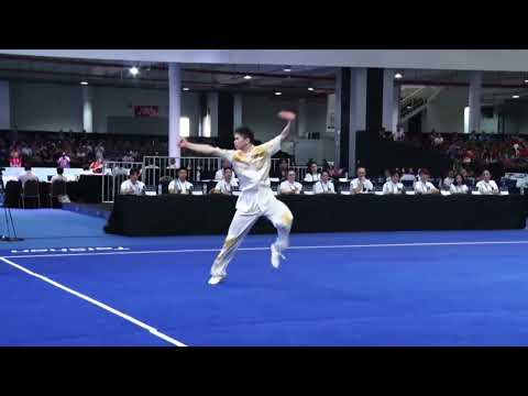 2025 17th World Wushu Championships - (INA) 🥉               Men's Changquan Final (top 12)