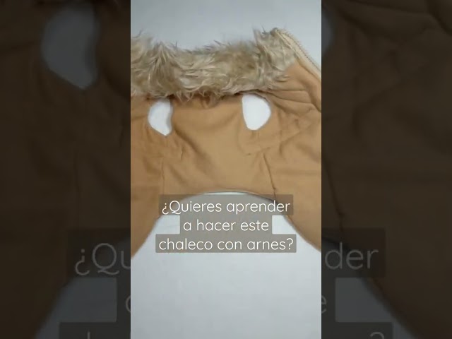Vídeo relacionado con MOKATES Greyhound Ropa para Perros Grandes Camisa de Cuello Alto Galgo Chaleco de Forro Polar Elástico Abrigo Tipo Suéter para Perros Pequeños Medianos Grandes 3XL