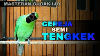 Download lagu GEREJA SEMI TENGKEK || CUCAK IJO GACOR FULL TEMBAKAN NGEKEK PANJANG-PANJANG mp3 Download lagu GEREJA SEMI TENGKEK || CUCAK IJO GACOR FULL TEMBAKAN NGEKEK PANJANG-PANJANG mp3