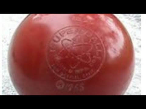 Non giocare con  questa palla scp-018