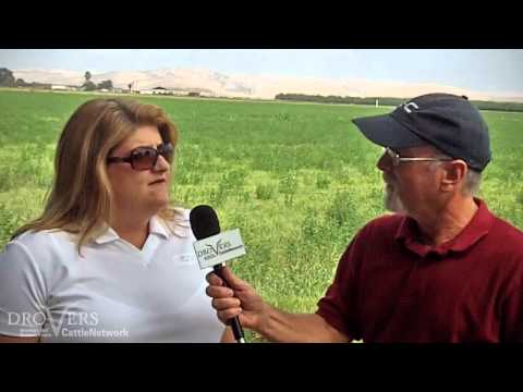 A tour of California beef and dairy operations