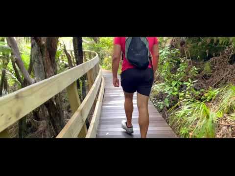 Kitekite Falls & Piha Beach