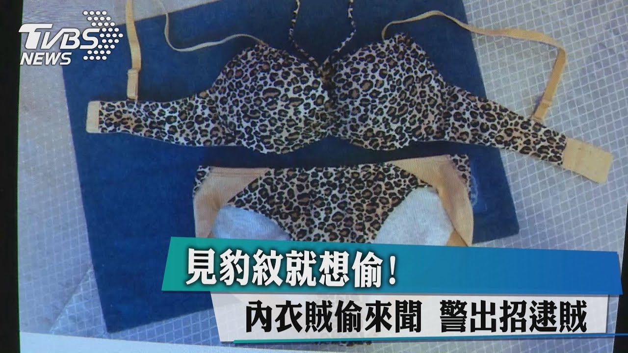 見豹紋就想偷!內衣賊偷來聞 警出招逮賊