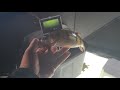 Video Thumbnail for Perch bite! ice fishing #shorts #icefishing #fishing #shortsvideo #fish #ice #bhfyp