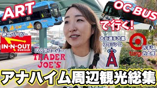 ディズニーだけじゃもったいない!市バスで廻るアナハイム!チケット購入方法から注意点までこれ1本にまとめました。現地民ならではの穴場スポットも！