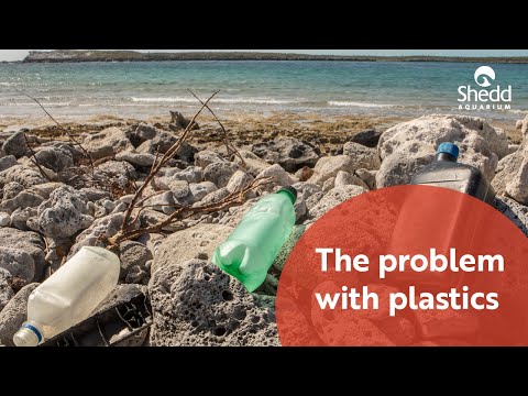 The Problem with Plastics