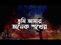 Piran Khan Ft Jony Tumi Amar Onek Sokher Lyrics