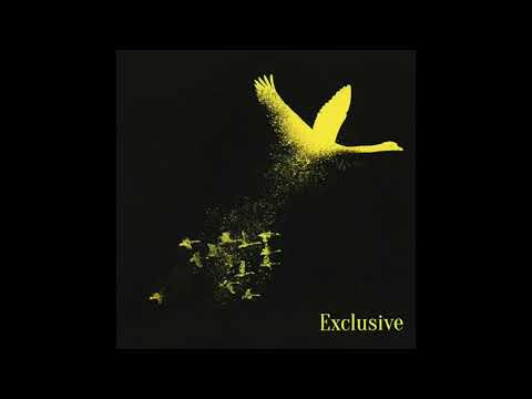 The Wild Swans - Bringing Home The Ashes (Extended Mix)