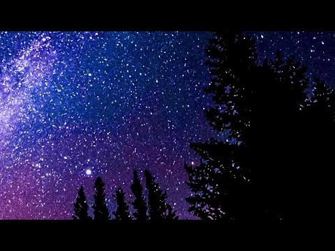 YBC Big Belly - Only 15 (Slowed2)