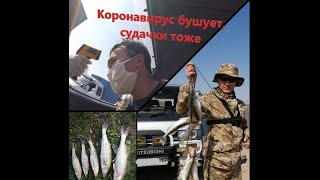 Запрет на рыбалку в шымкенте 2020
