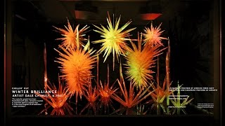 Barneys New York Holiday 2015 | The Windows Unveiled